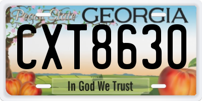 GA license plate CXT8630