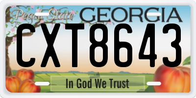 GA license plate CXT8643