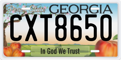 GA license plate CXT8650
