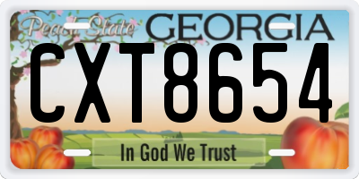 GA license plate CXT8654