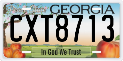 GA license plate CXT8713