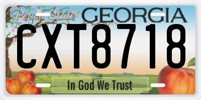 GA license plate CXT8718