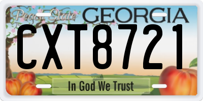 GA license plate CXT8721