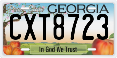 GA license plate CXT8723