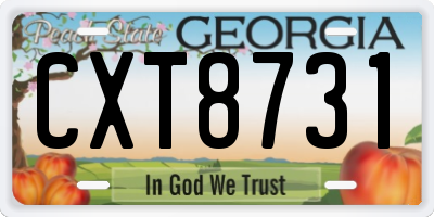 GA license plate CXT8731