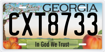 GA license plate CXT8733
