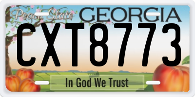 GA license plate CXT8773
