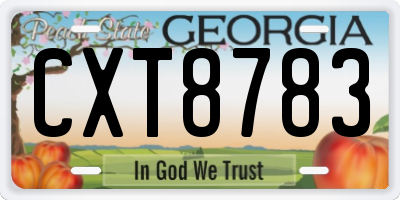 GA license plate CXT8783