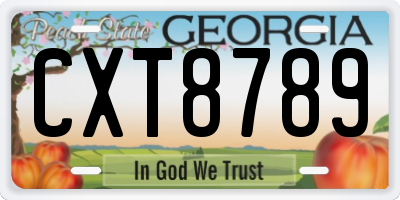 GA license plate CXT8789