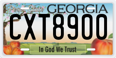 GA license plate CXT8900