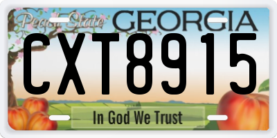 GA license plate CXT8915