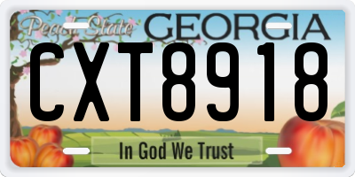 GA license plate CXT8918