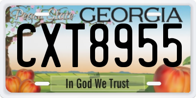 GA license plate CXT8955