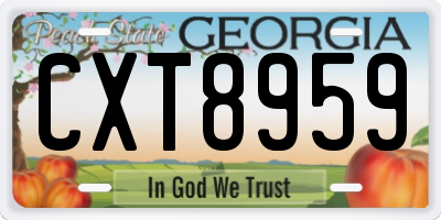 GA license plate CXT8959