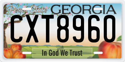 GA license plate CXT8960