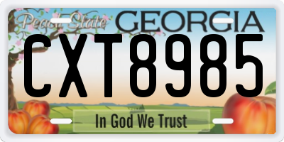 GA license plate CXT8985