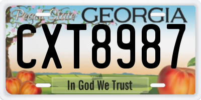 GA license plate CXT8987