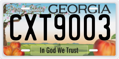 GA license plate CXT9003