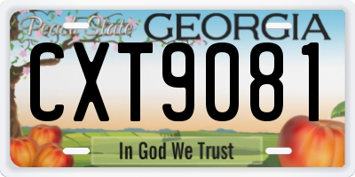 GA license plate CXT9081