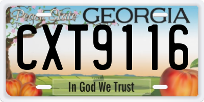GA license plate CXT9116