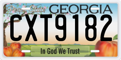 GA license plate CXT9182