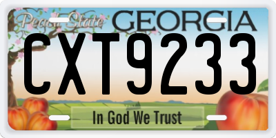 GA license plate CXT9233