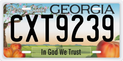 GA license plate CXT9239