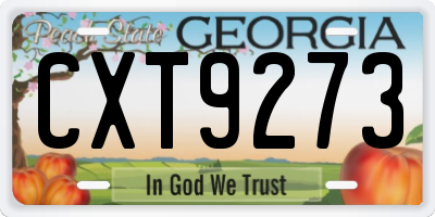 GA license plate CXT9273