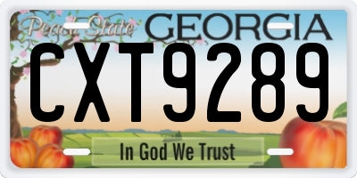 GA license plate CXT9289