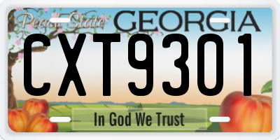 GA license plate CXT9301