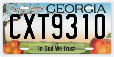 GA license plate CXT9310