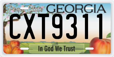GA license plate CXT9311