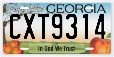 GA license plate CXT9314
