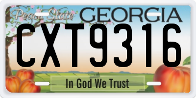 GA license plate CXT9316