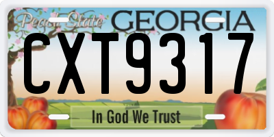 GA license plate CXT9317