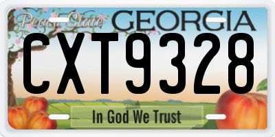 GA license plate CXT9328