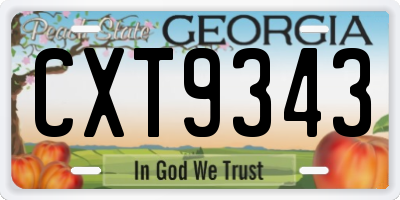 GA license plate CXT9343