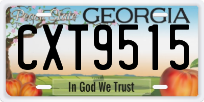 GA license plate CXT9515