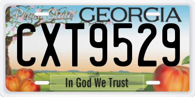 GA license plate CXT9529