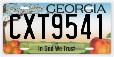 GA license plate CXT9541
