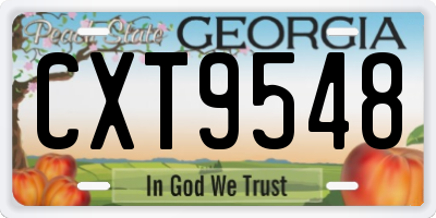 GA license plate CXT9548