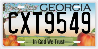 GA license plate CXT9549