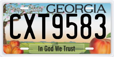 GA license plate CXT9583