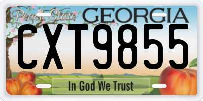GA license plate CXT9855