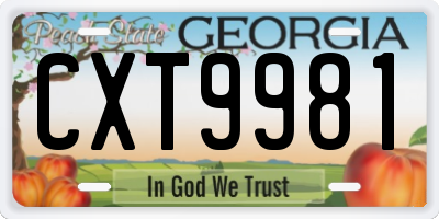 GA license plate CXT9981