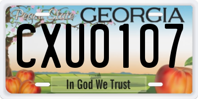 GA license plate CXU0107