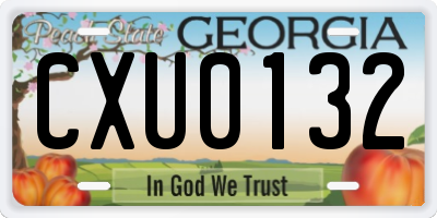 GA license plate CXU0132