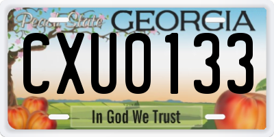 GA license plate CXU0133