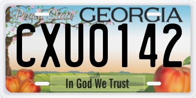 GA license plate CXU0142
