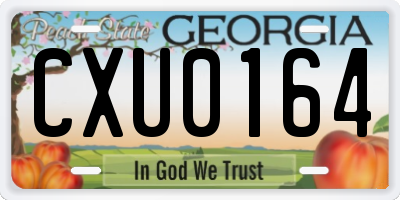 GA license plate CXU0164